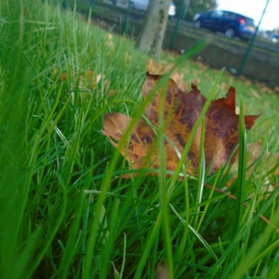 tsa_PhotoClubwk5 (7)